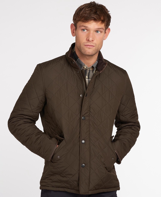 Barbour Powell Steppjacke Herren Olivgrün | VRWLXE-042