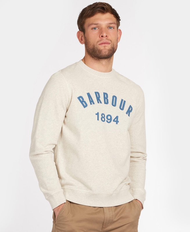 Barbour John Crew Neck Sweatshirts Herren Beige | BXUJFZ-067