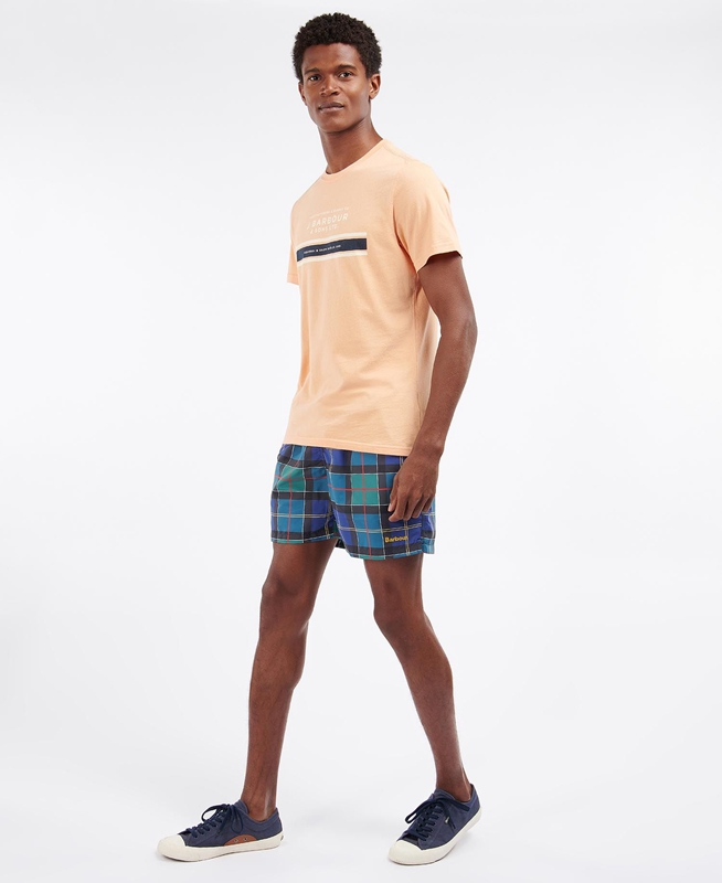 Barbour Tartan Swim Hose Herren Mehrfarbig | HKFBMY-632